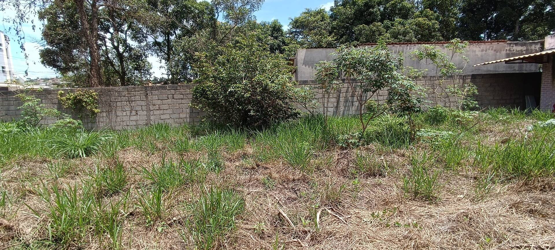 Lote para aluguel no São Joaquim: 