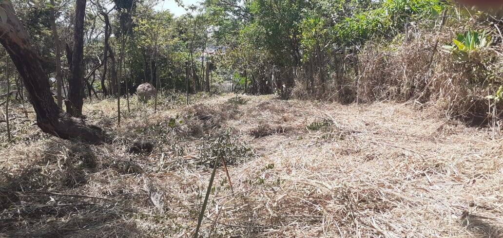 Terreno à venda no Jardim Anchieta: 