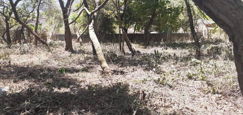 Terreno à venda no Jardim Anchieta: 