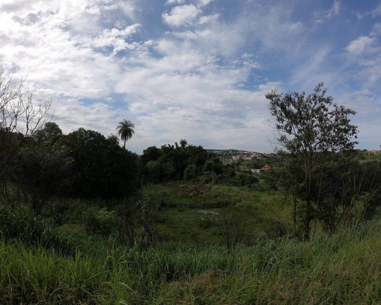 Terreno à venda no Santa Rosa: 