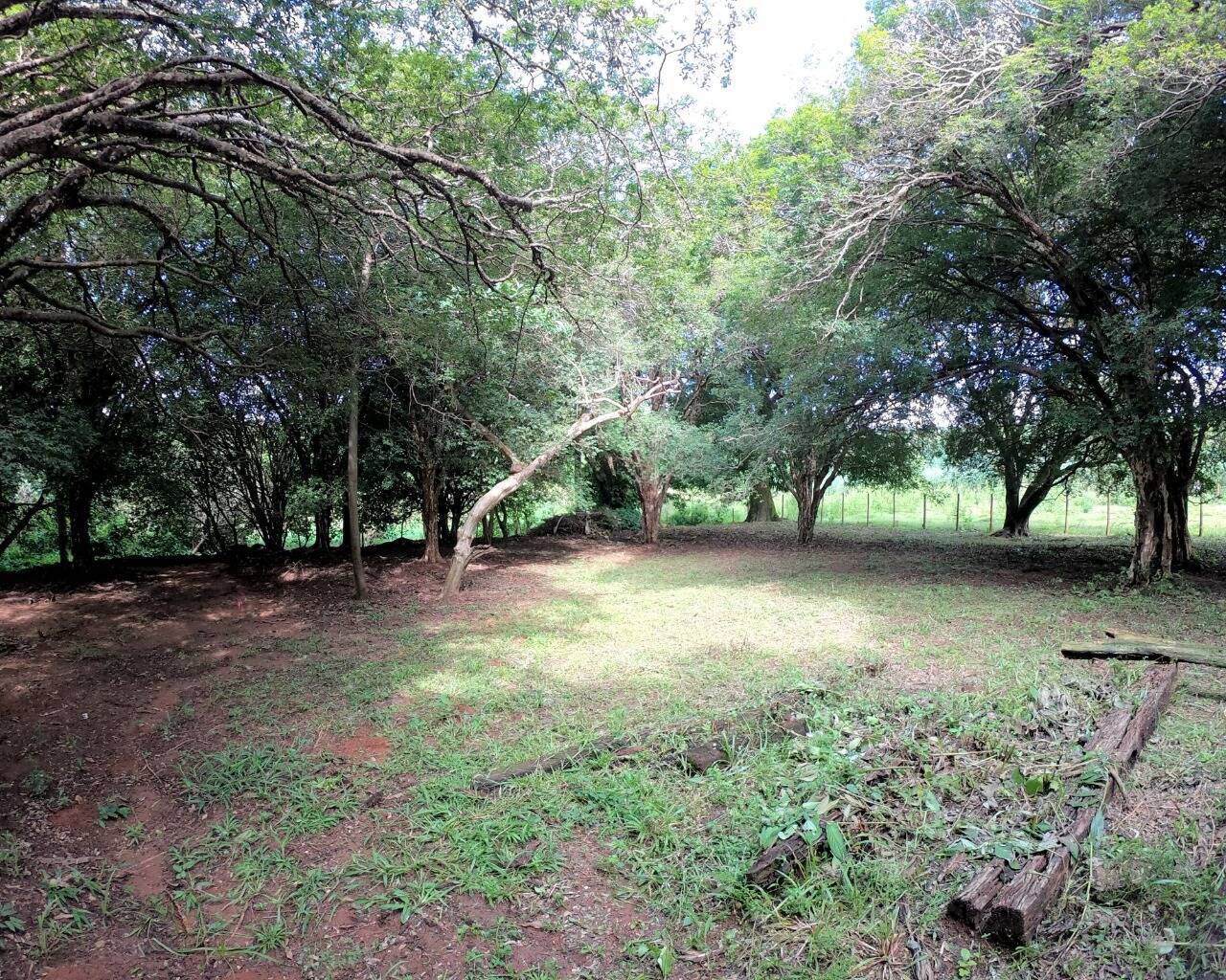 Terreno à venda no Santa Rosa: 