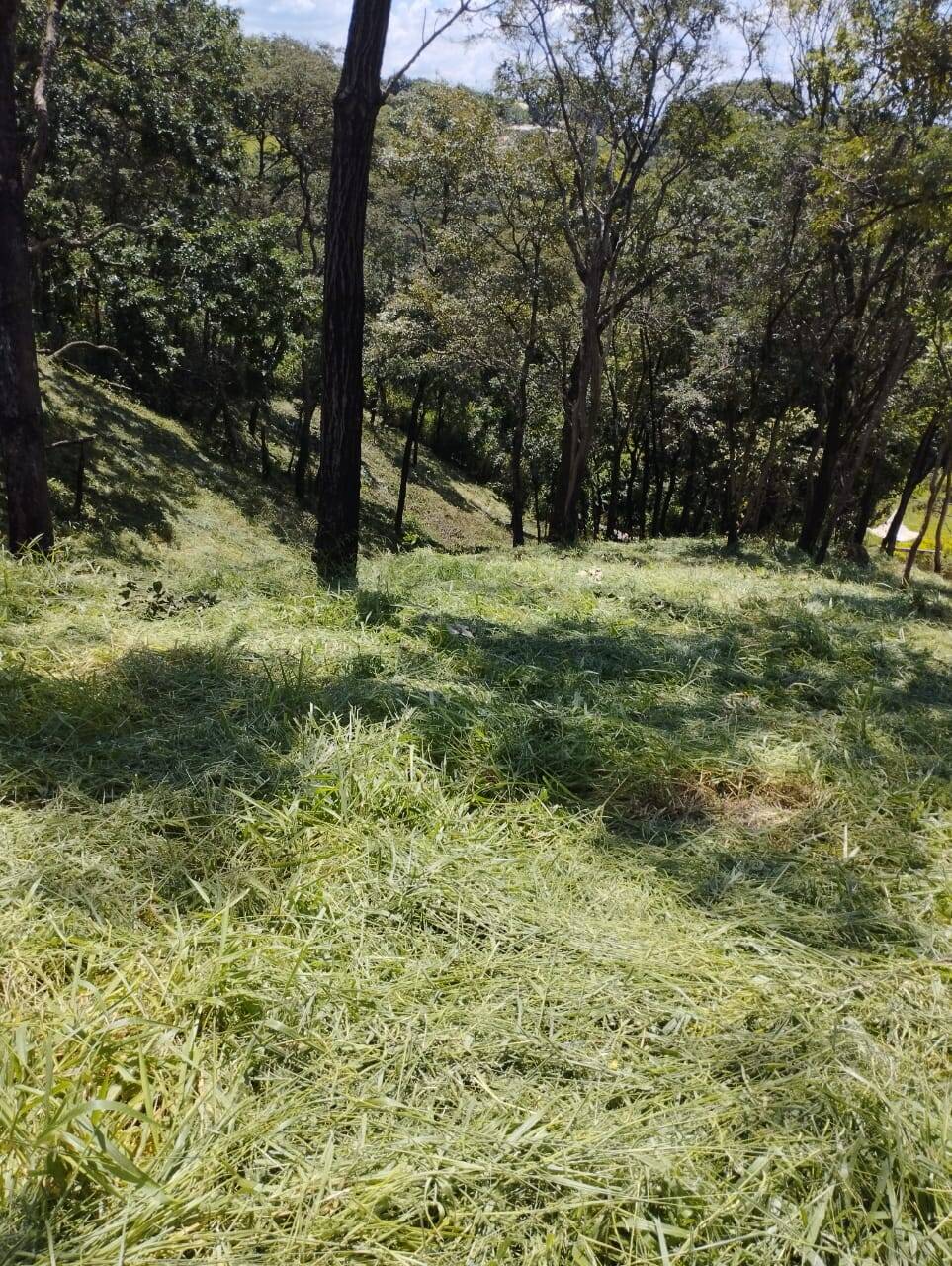 Terreno à venda no Campo Belo: 