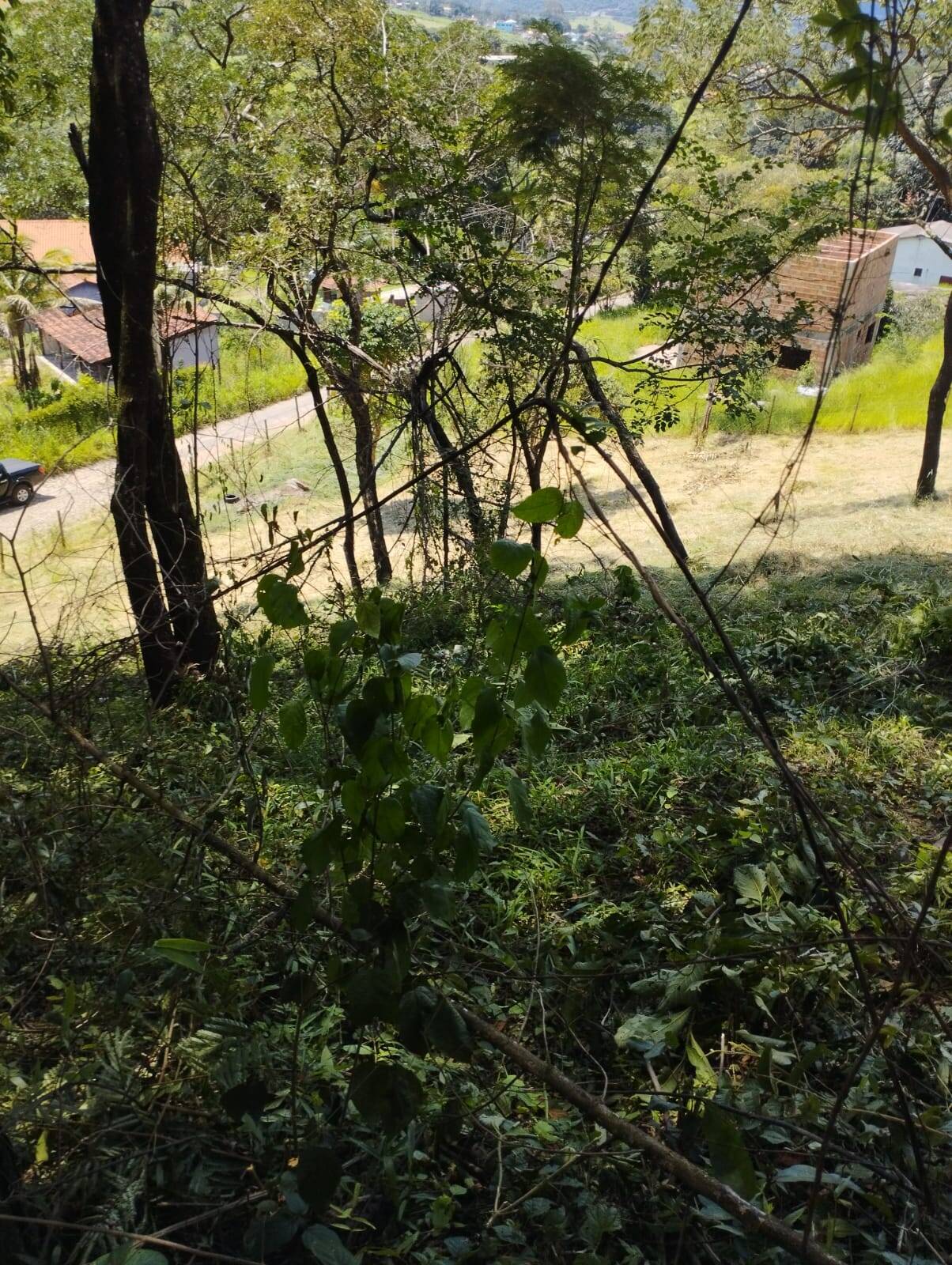 Terreno à venda no Campo Belo: 