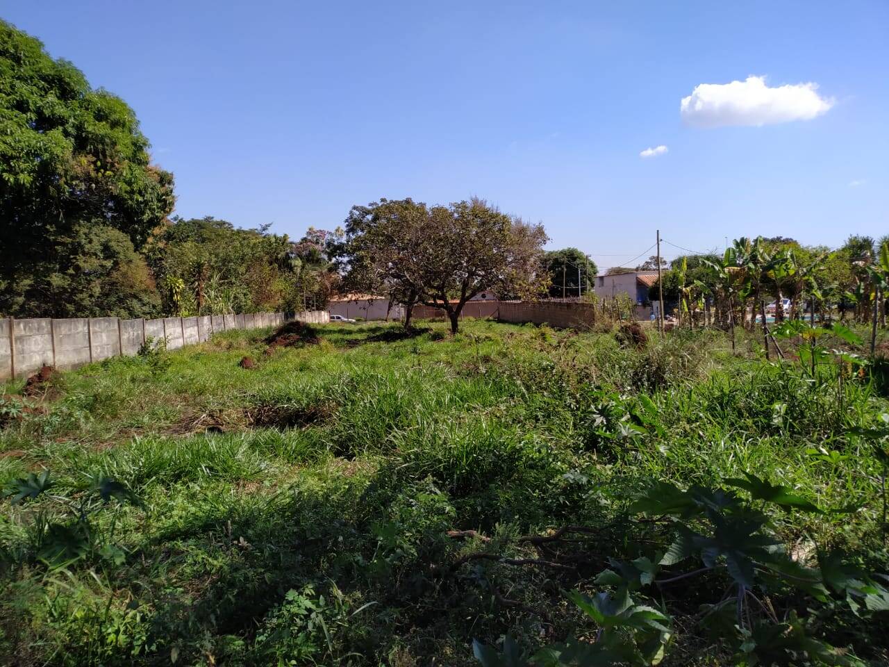 Lote à venda no Maria Antonieta: 