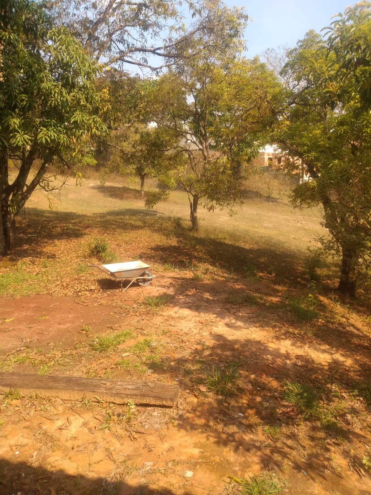 Terreno à venda no Jardim Anchieta: 