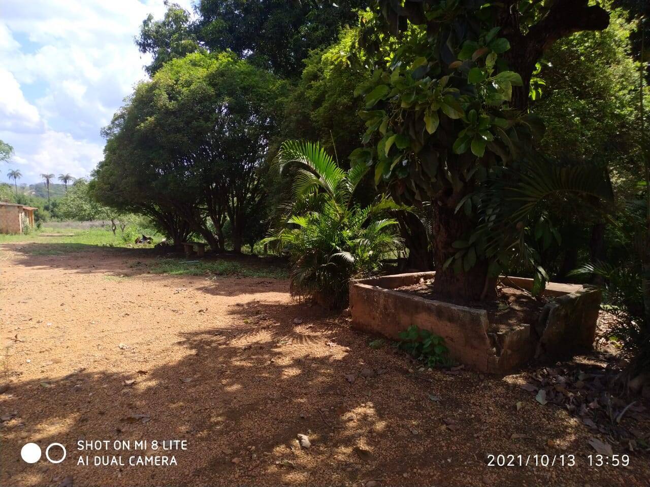 Terreno à venda no Campo Verde: 