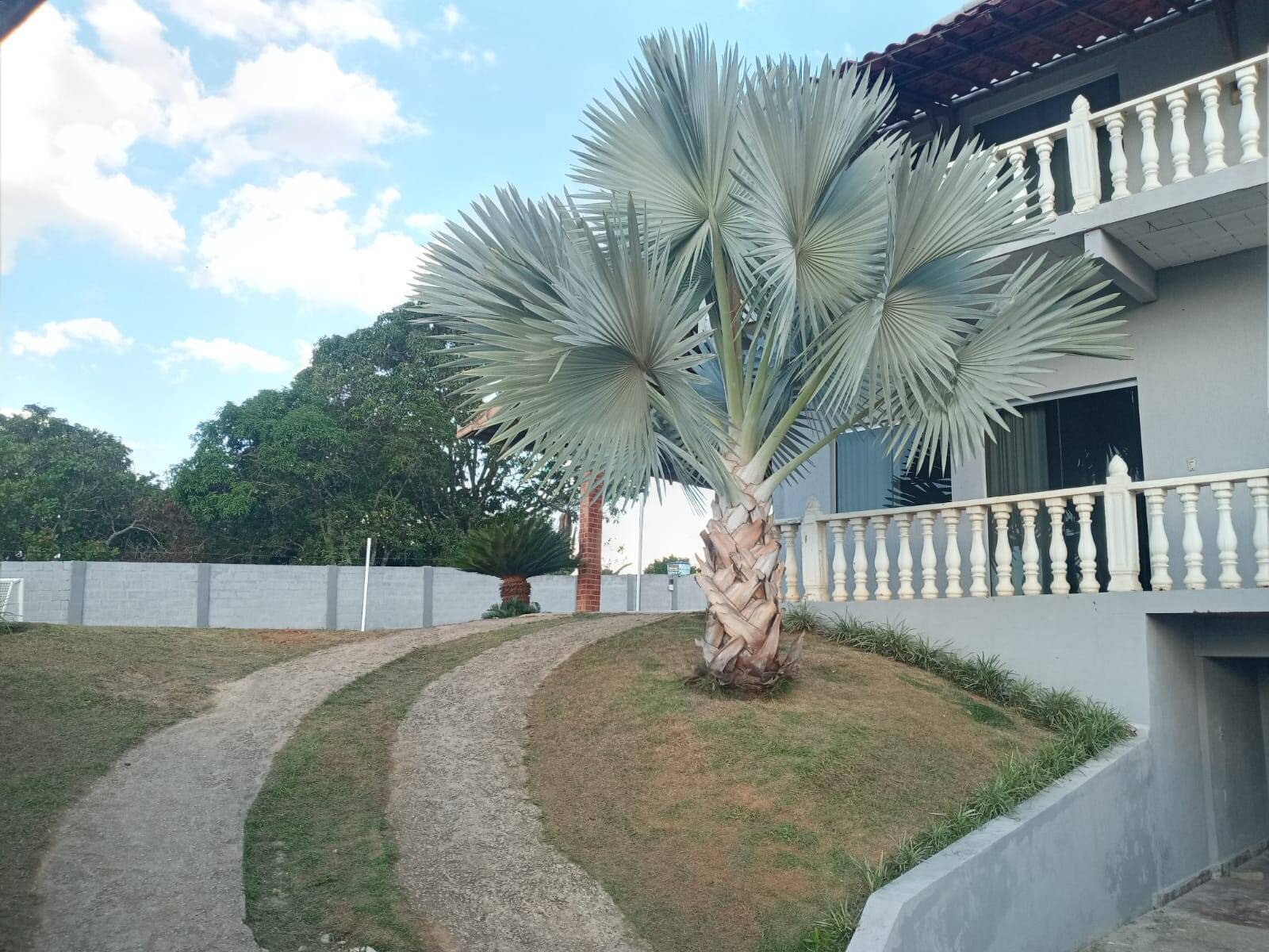 Sítio à venda no Jardim Anchieta: 