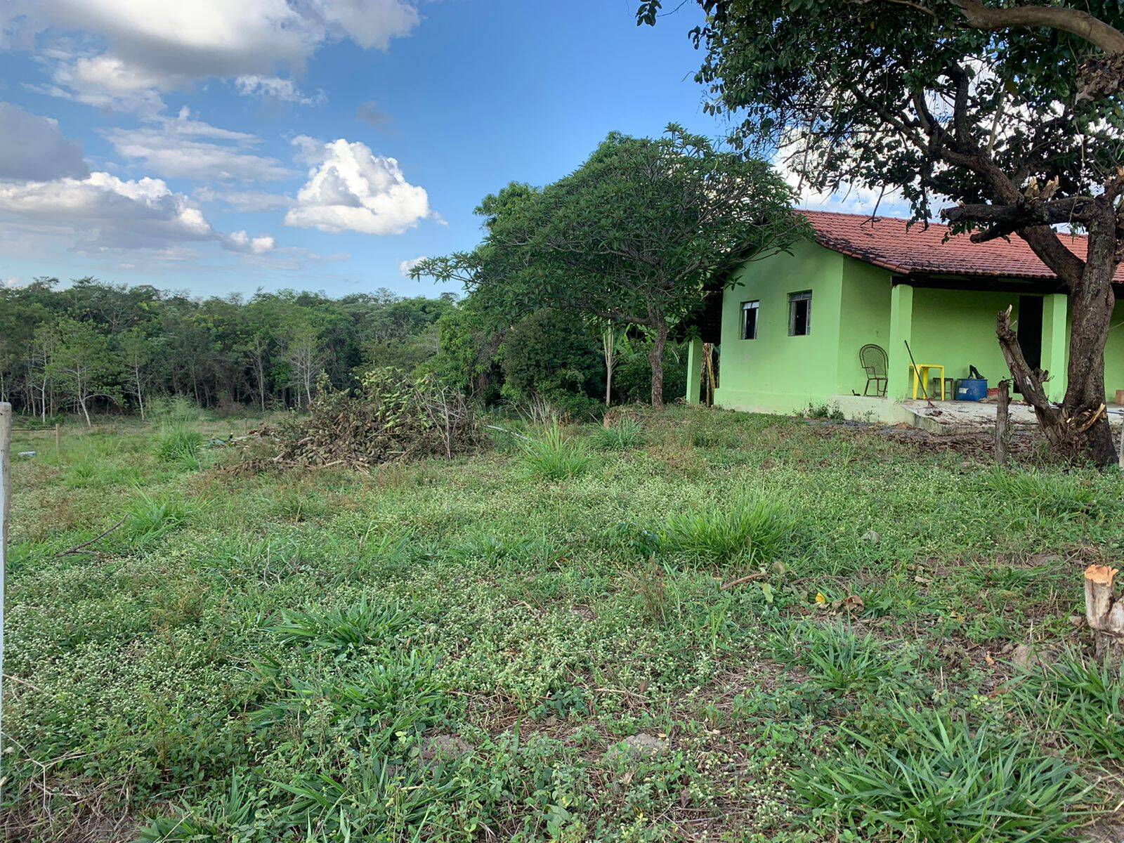 Fazenda à venda no Não Informado: 