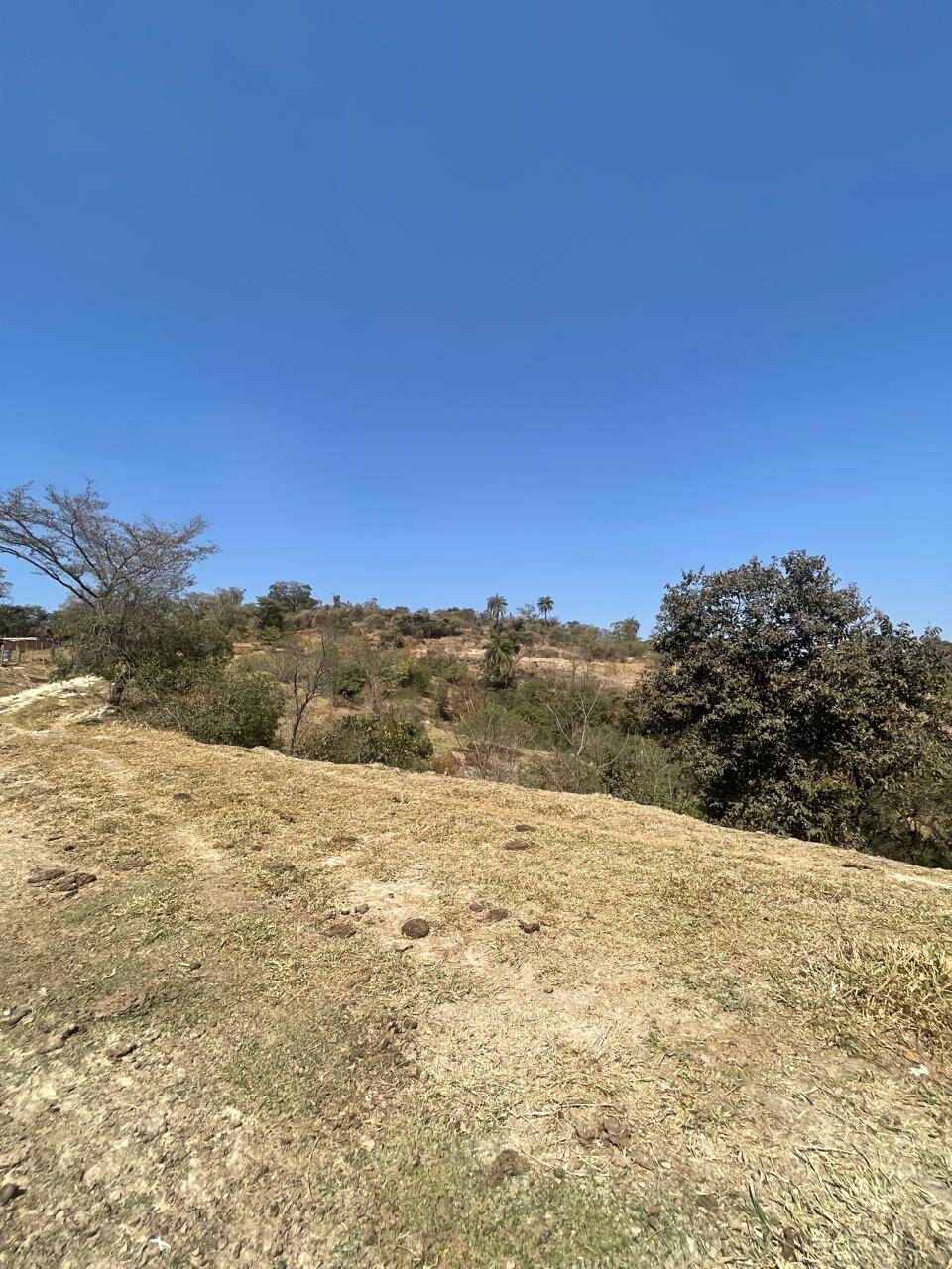 Chácara à venda no Jardim Anchieta: 