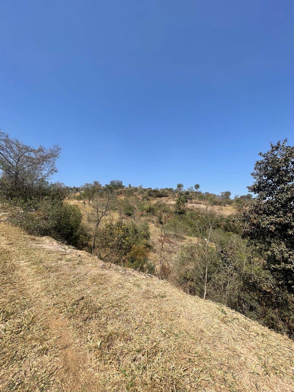 Chácara à venda no Jardim Anchieta: 