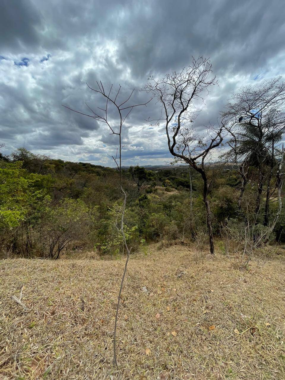 Chácara à venda no Jardim Anchieta: 
