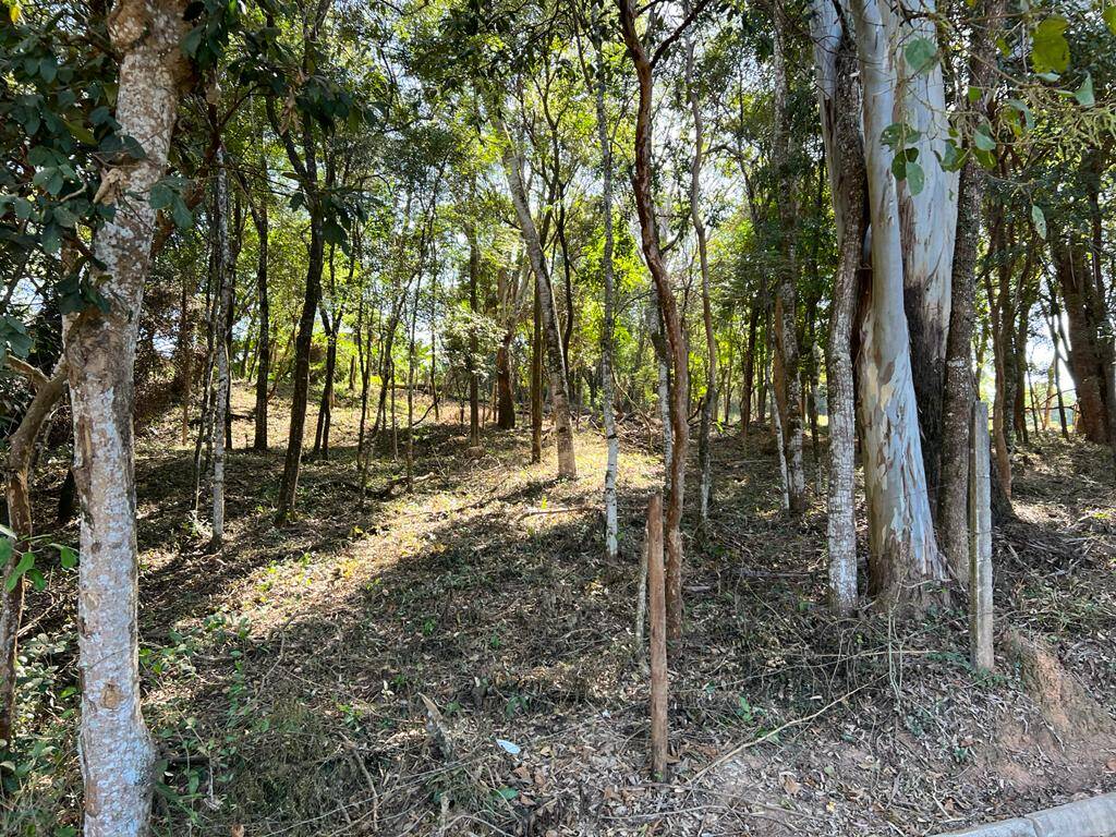 Terreno à venda no Campo Belo: 
