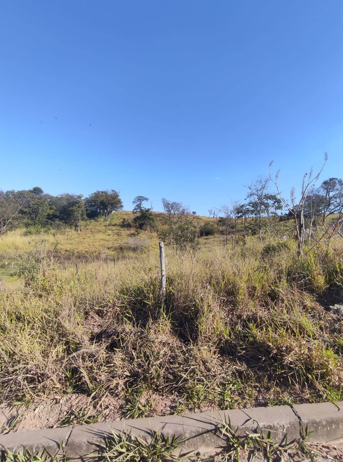 Lote à venda no Santa Cecilia: 