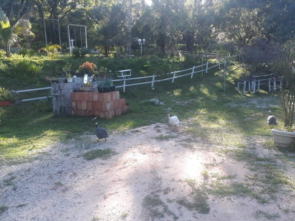 Sítio à venda no Bandeirinhas: 