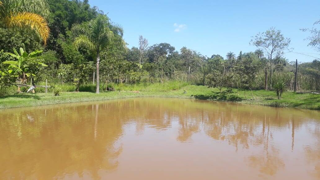 Sítio à venda no Bandeirinhas: 