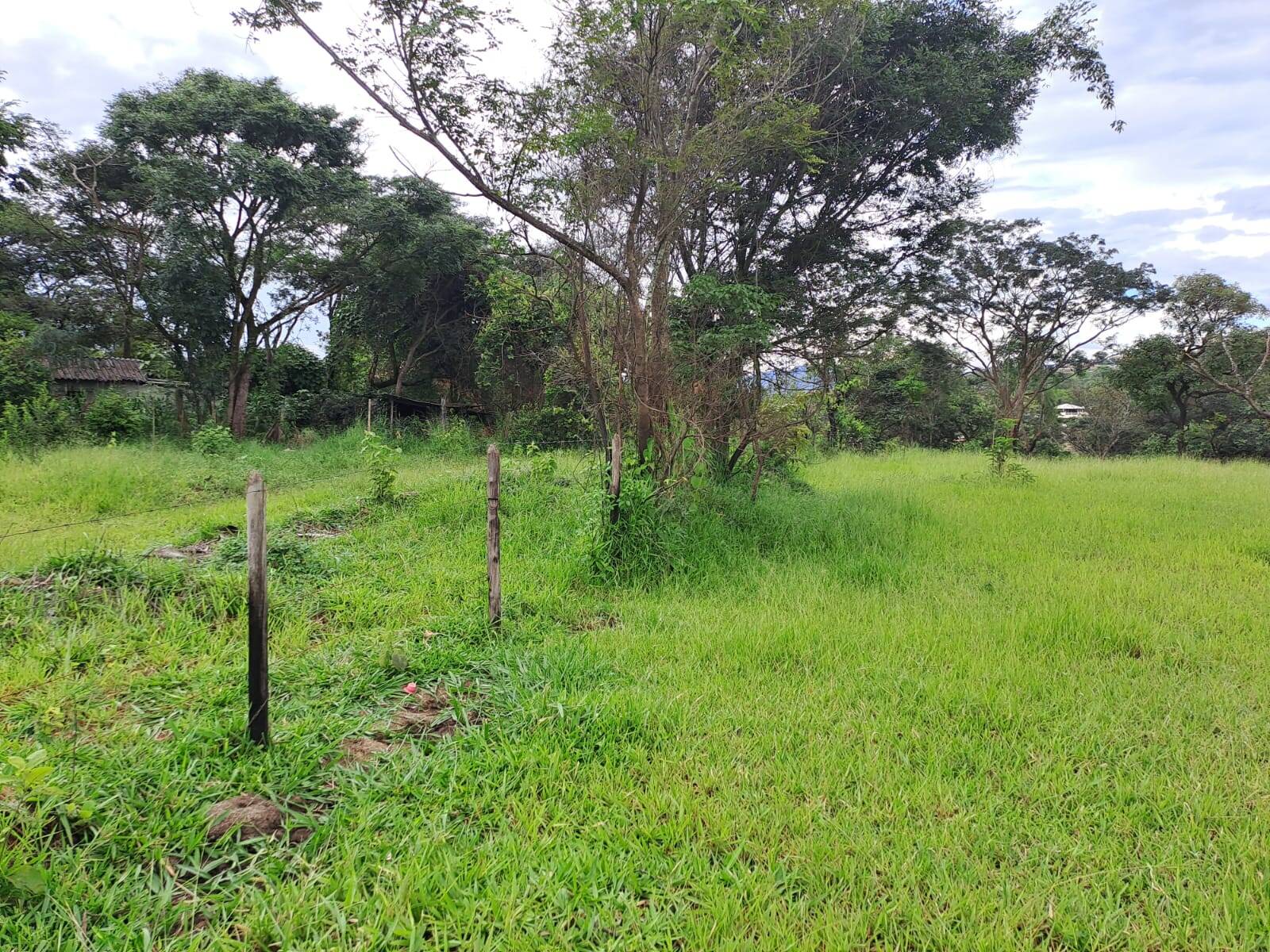 Terreno à venda no Jardim Anchieta: 