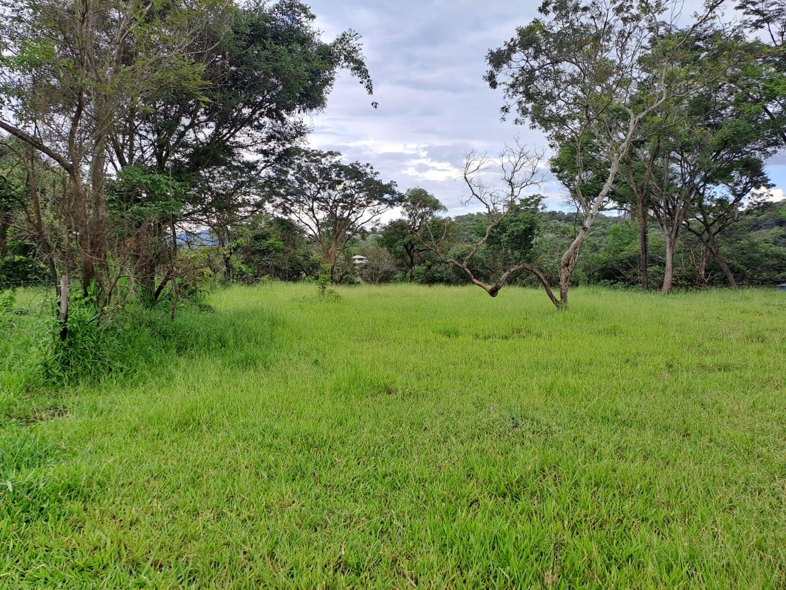 Terreno à venda no Jardim Anchieta: 