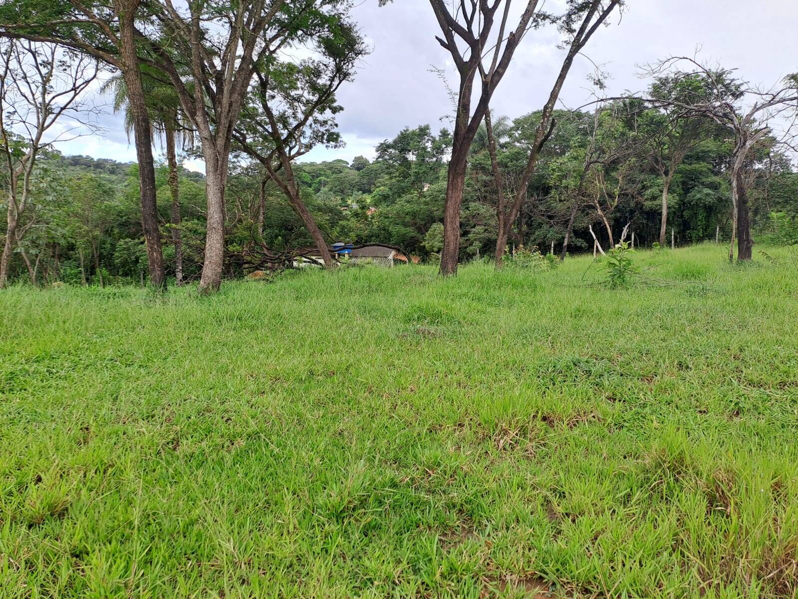 Terreno à venda no Jardim Anchieta: 