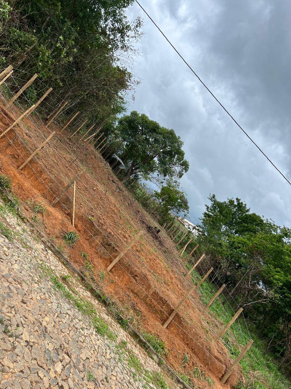 Lote à venda no Salgado Filho: 