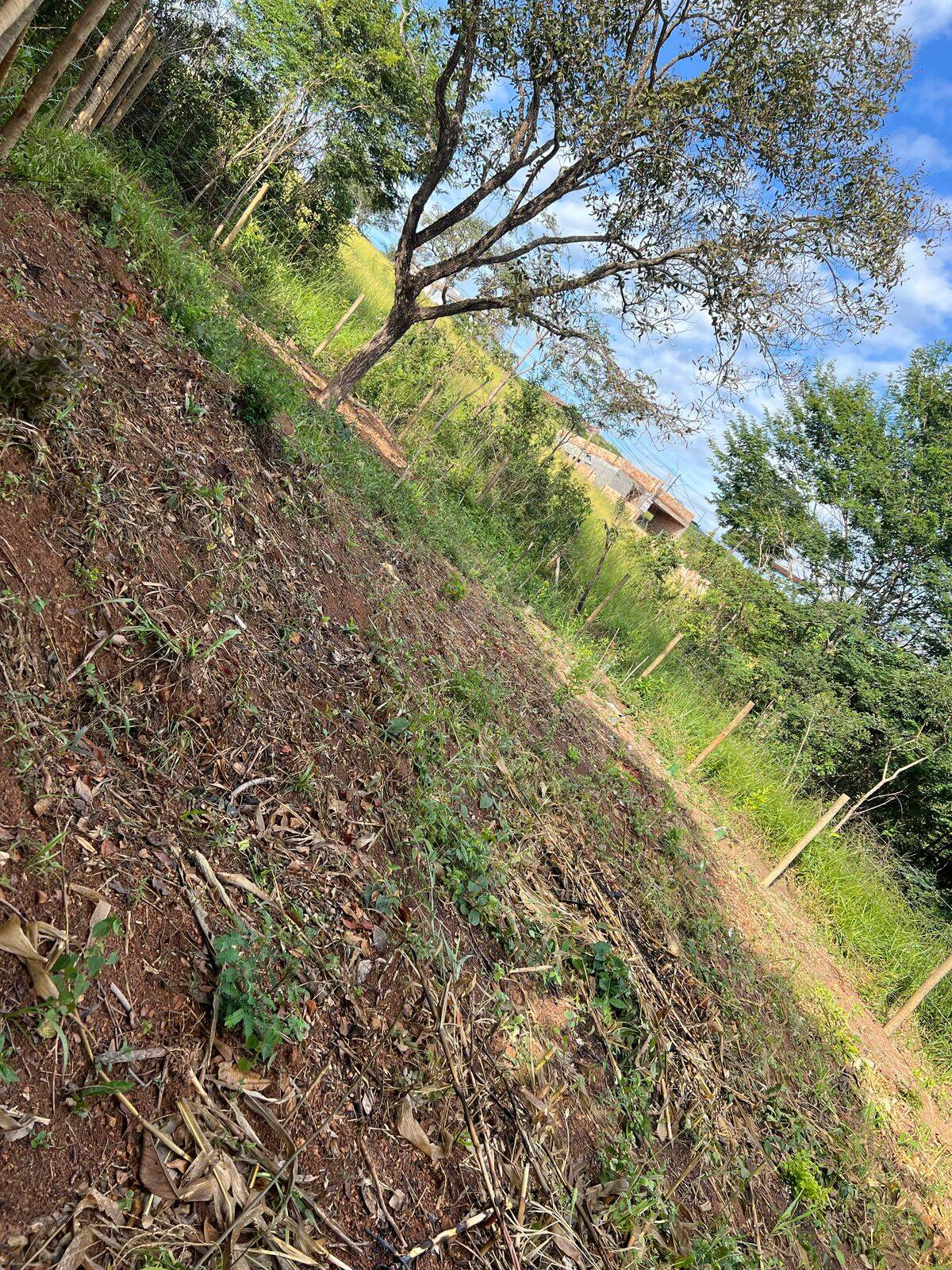 Lote à venda no Salgado Filho: 