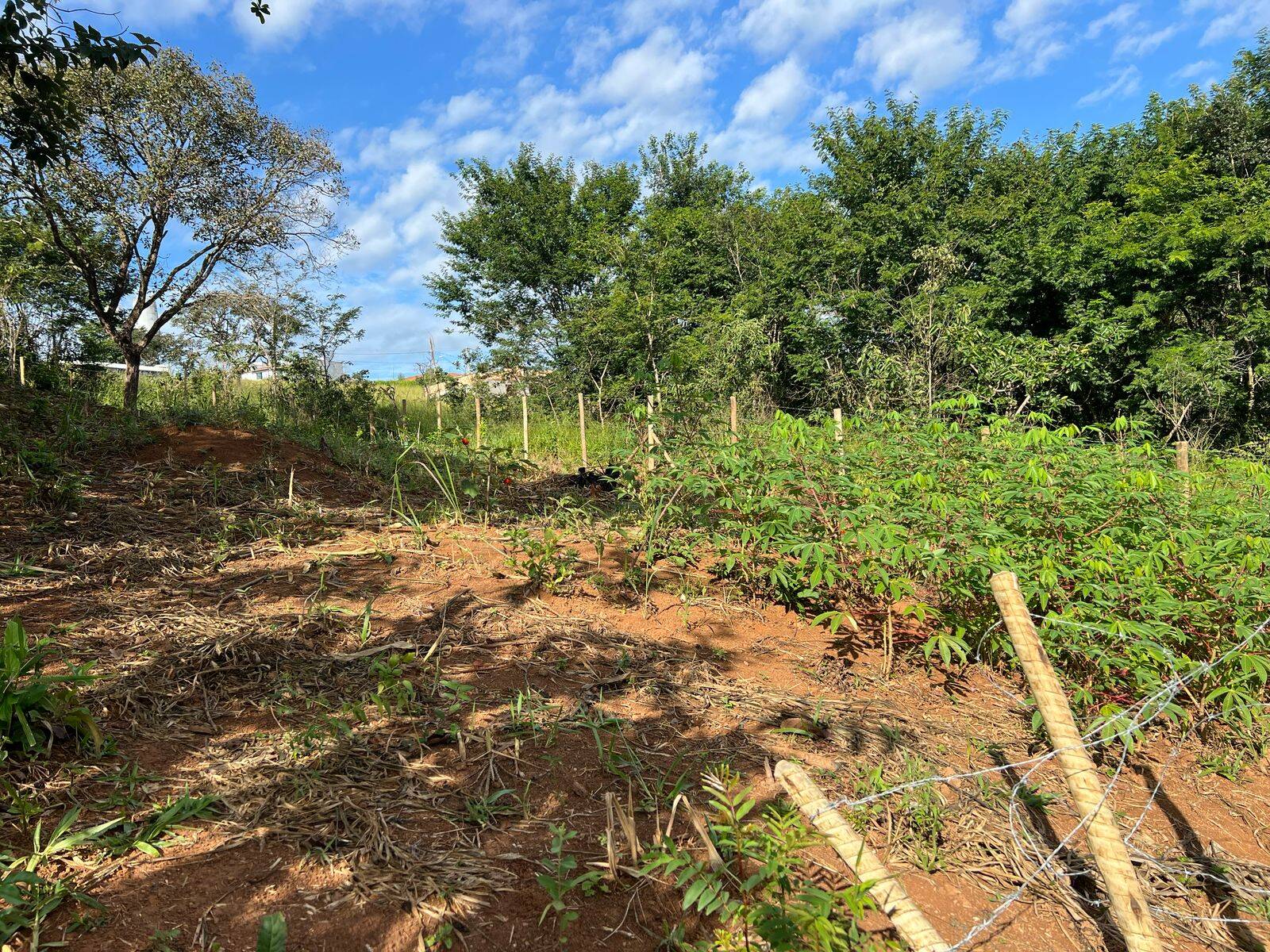 Lote à venda no Salgado Filho: 