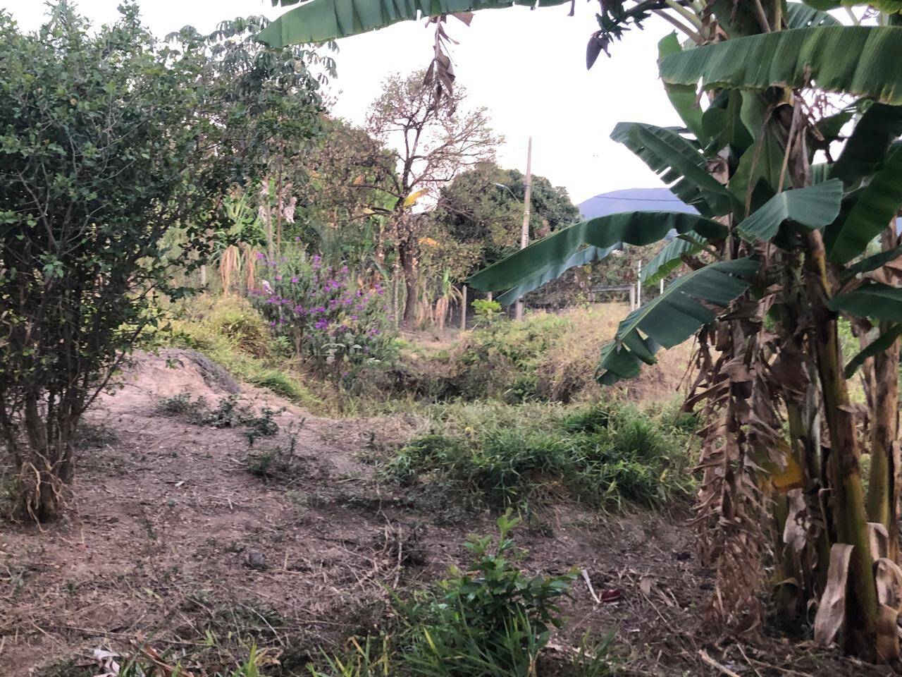 Lote à venda no Bom Jardim: 