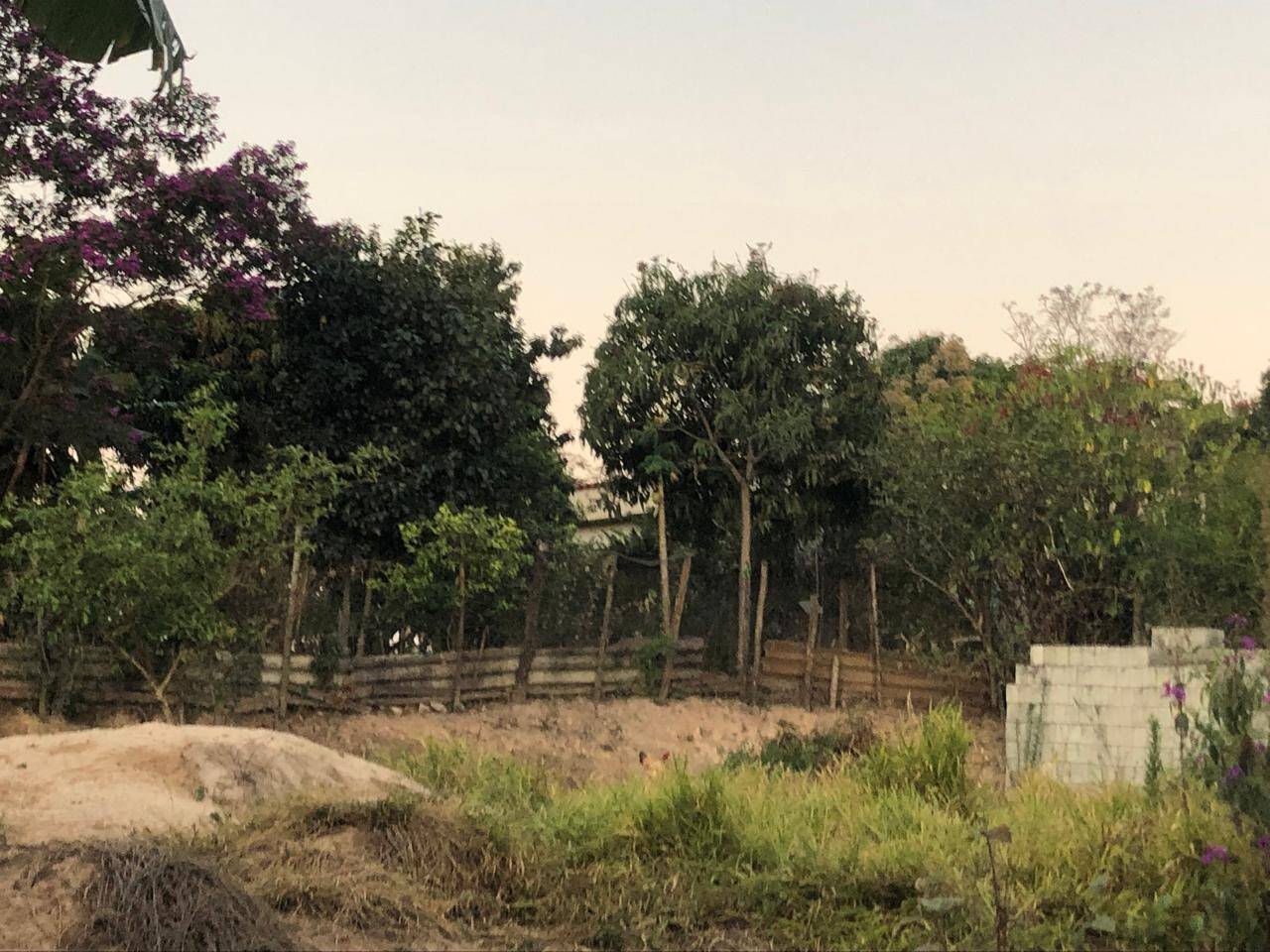 Lote à venda no Bom Jardim: 