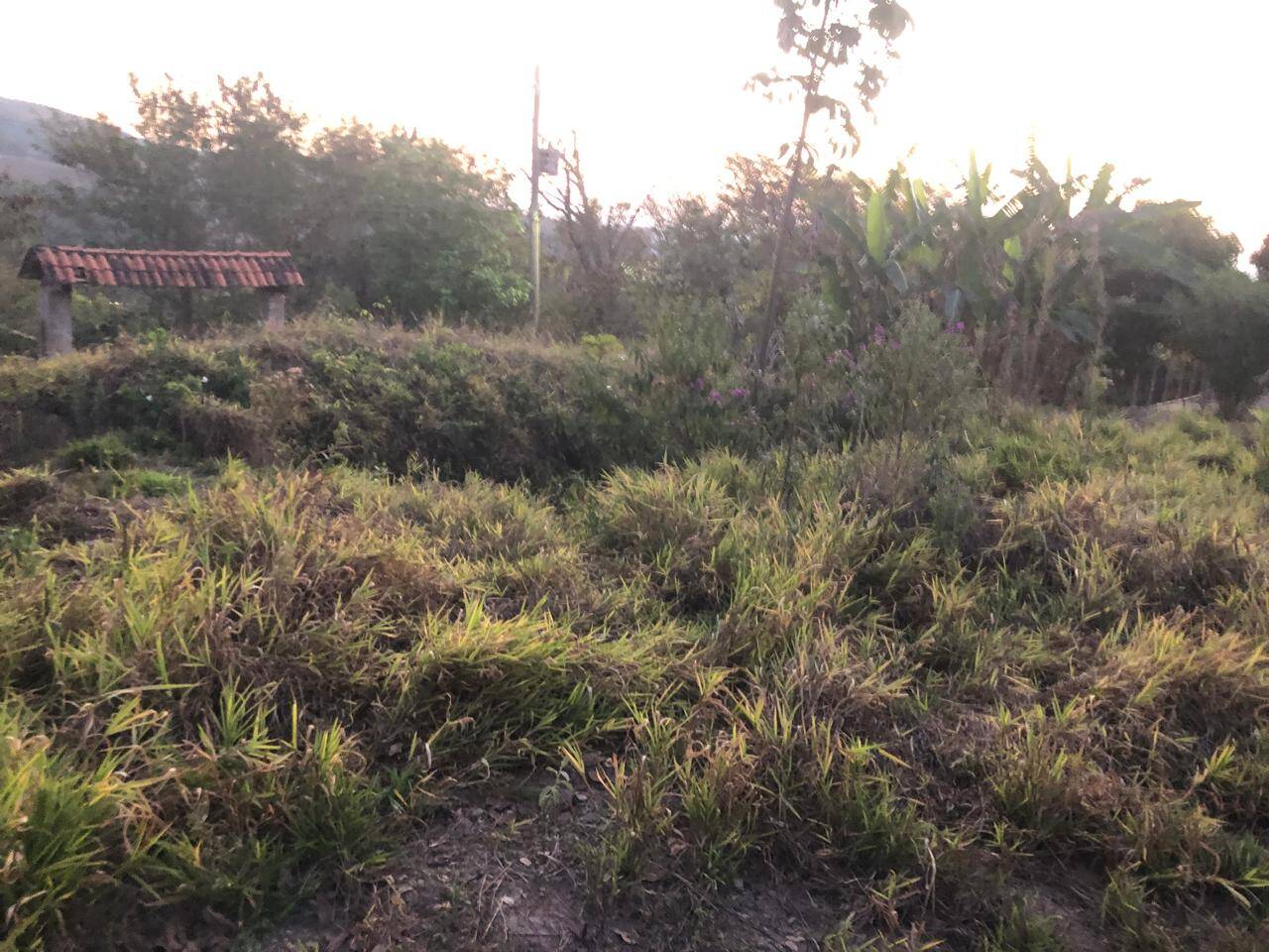 Lote à venda no Bom Jardim: 