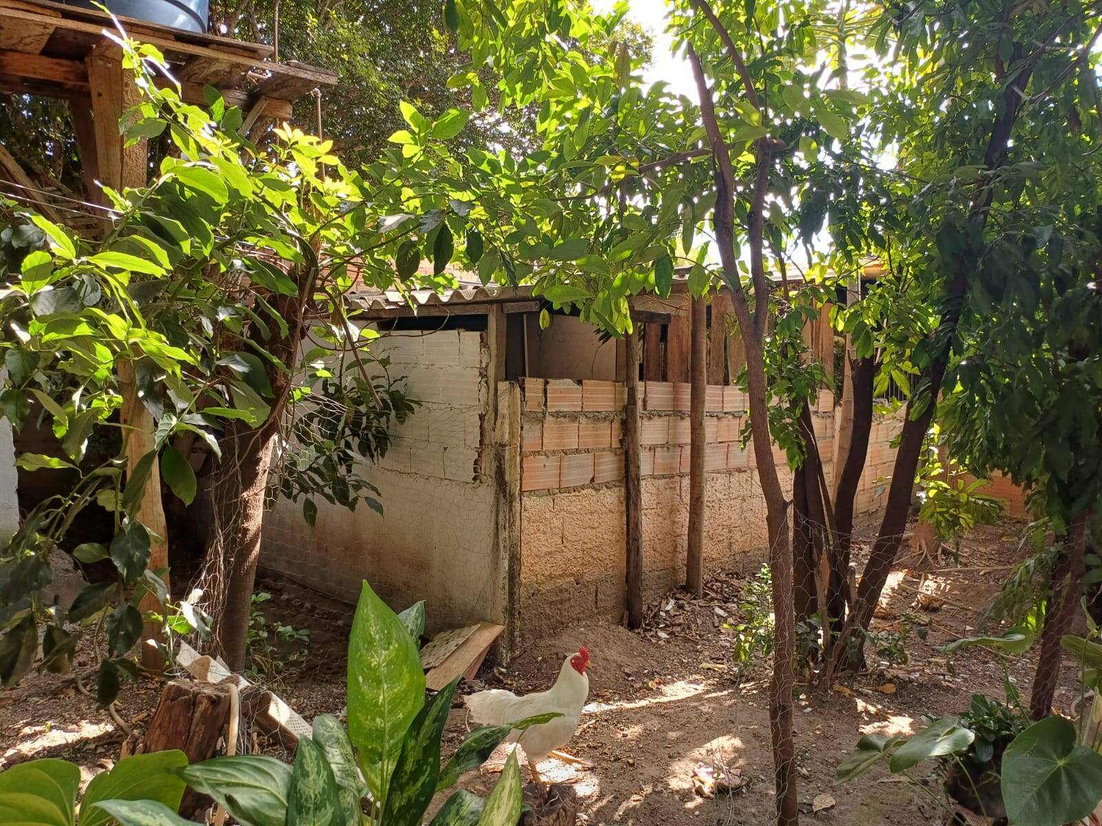 Casa à venda no IMACULADA CONCEIÇÃO: 