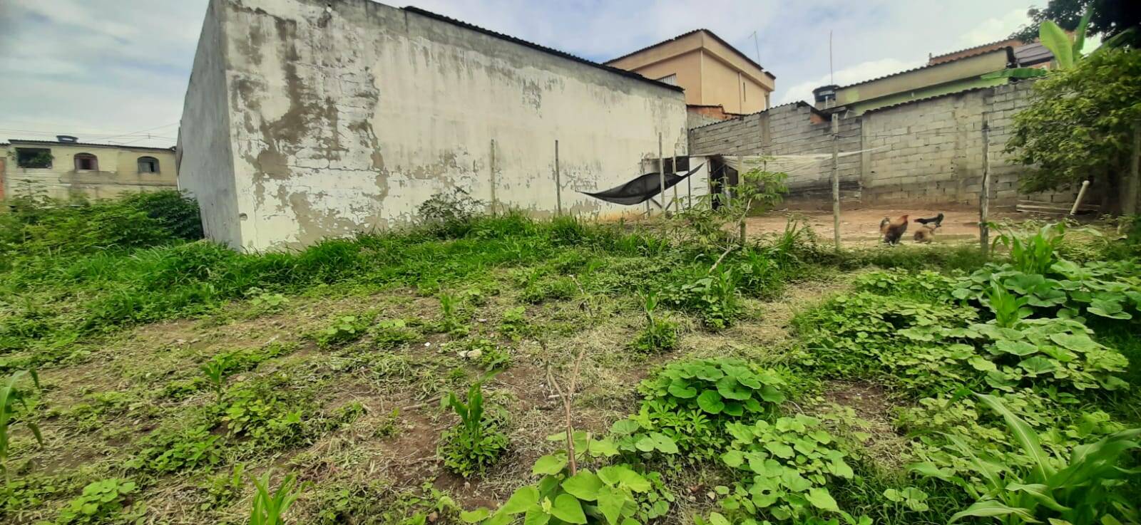 Lote à venda no Jardim das Rosas: 