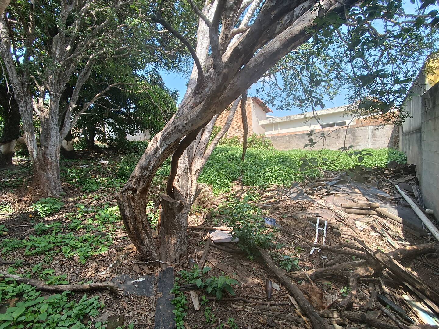 Lote à venda no Centro: 