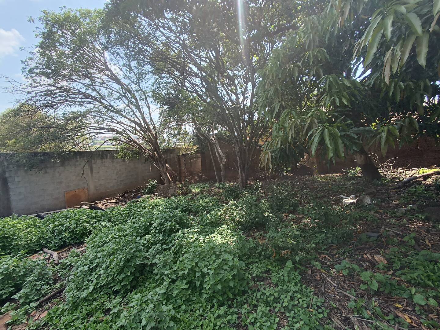 Lote à venda no Centro: 