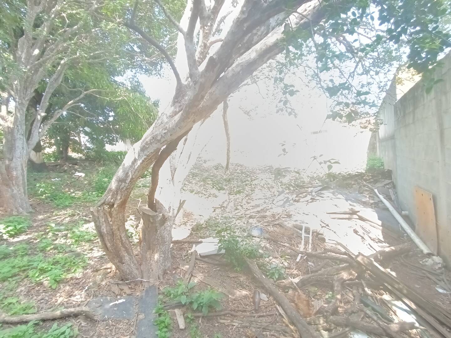 Lote à venda no Centro: 