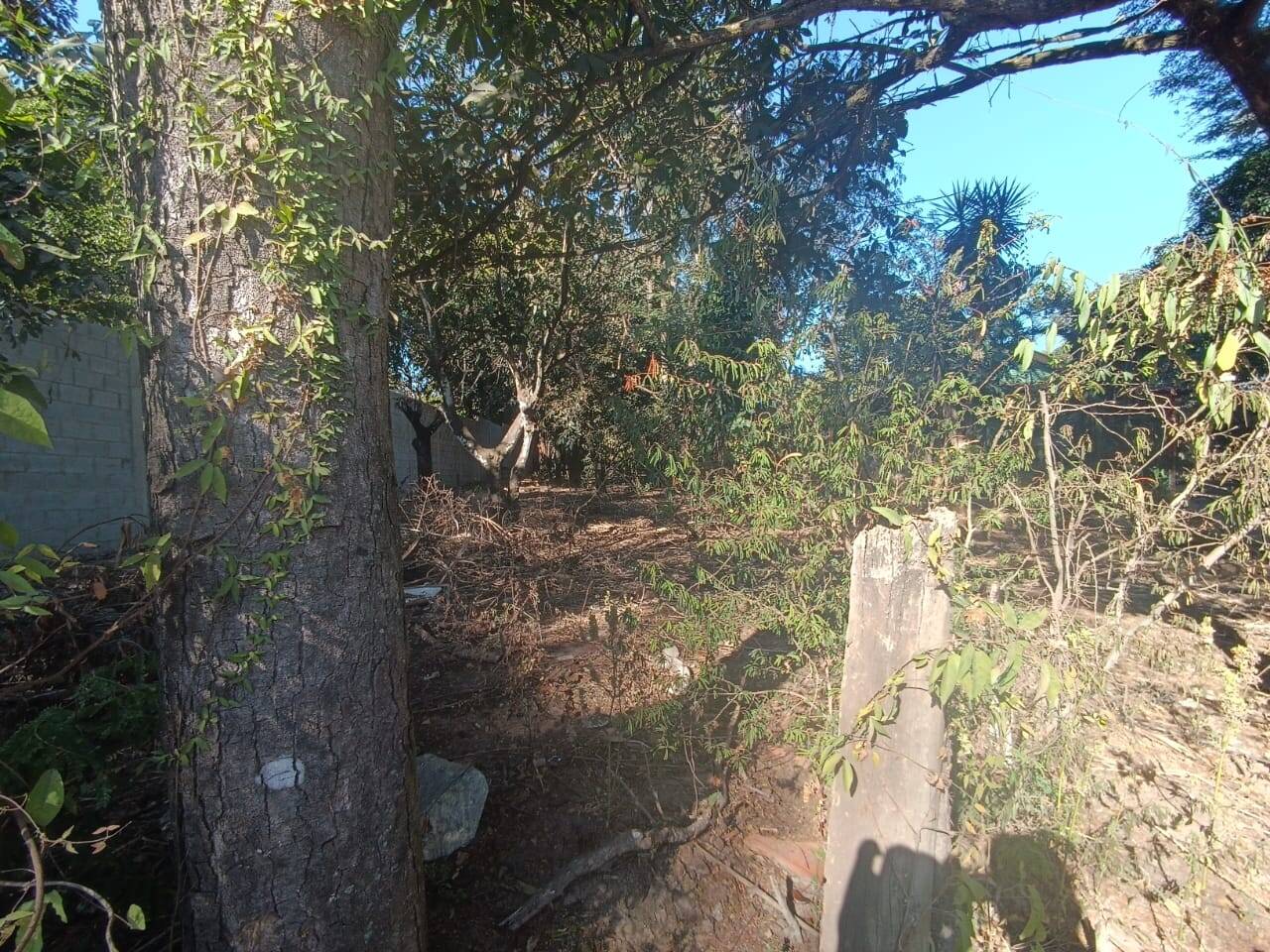 Chácara à venda no Jardim Anchieta: 