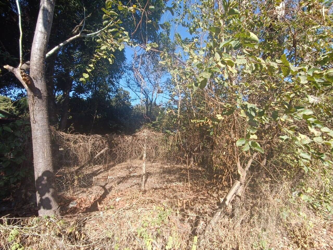 Chácara à venda no Jardim Anchieta: 