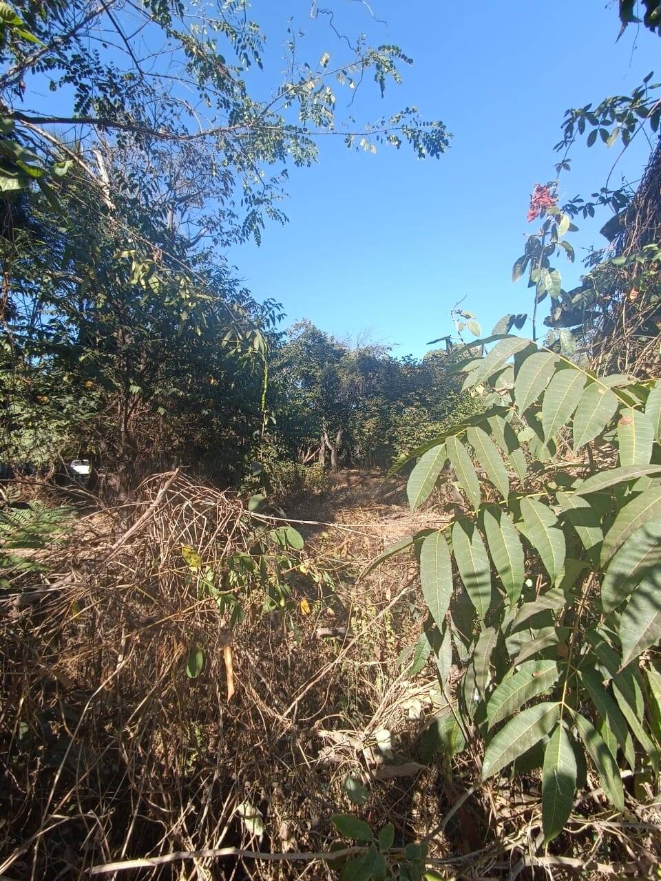 Chácara à venda no Jardim Anchieta: 