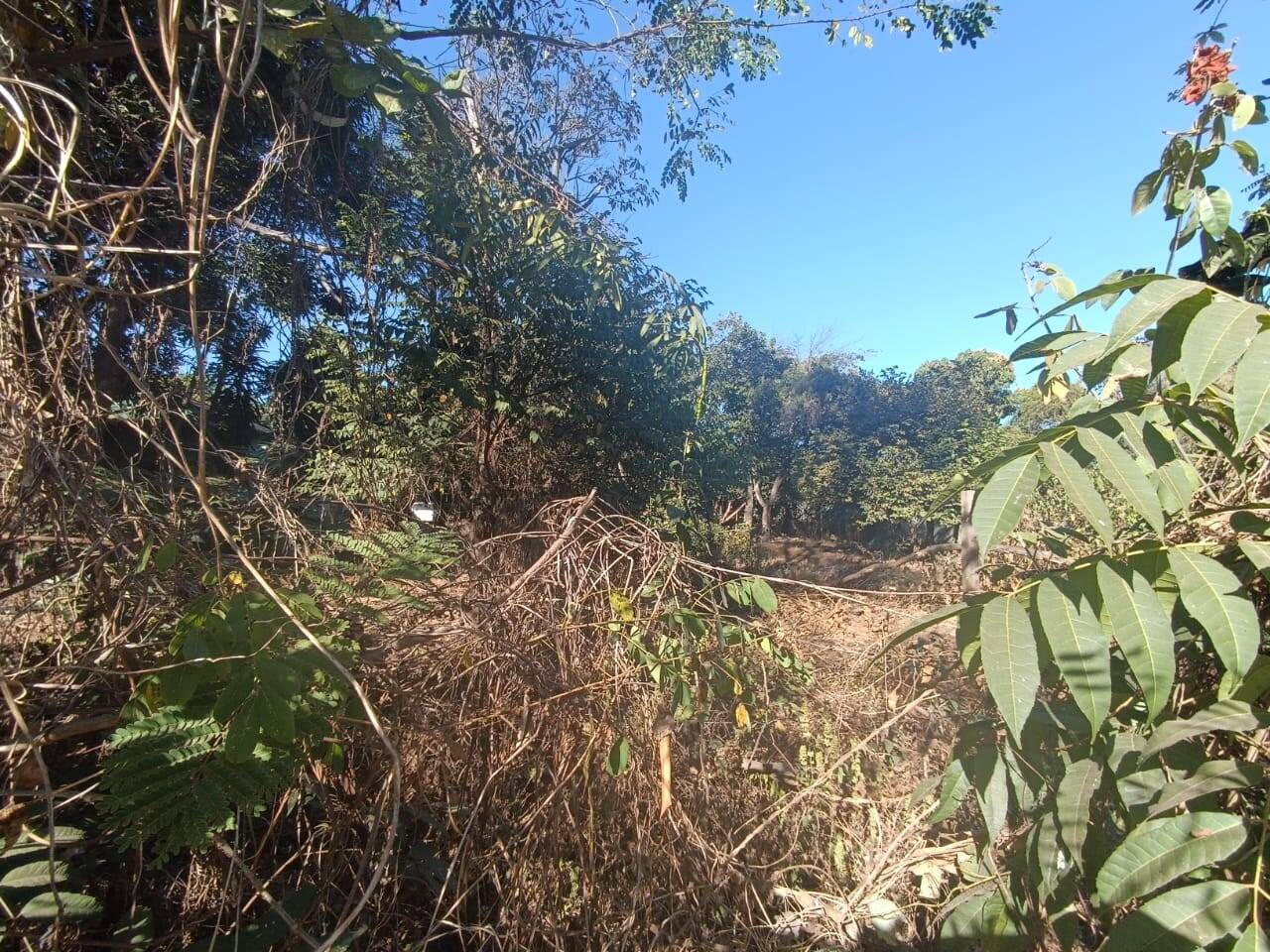 Chácara à venda no Jardim Anchieta: 