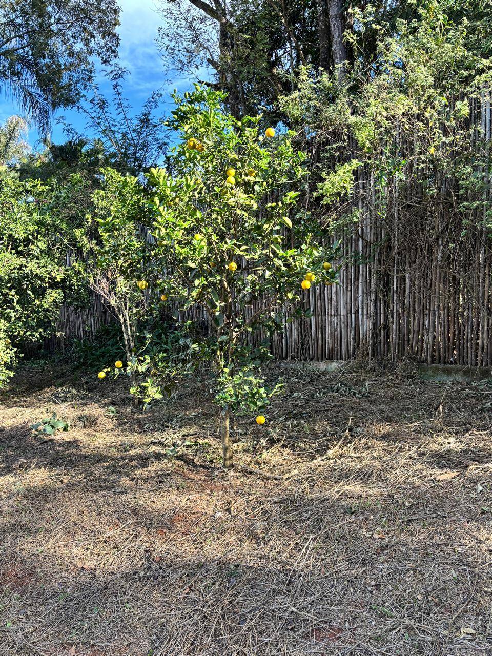 Lote à venda no Piedade de Paraopeba: 