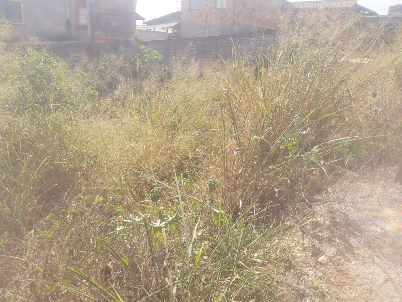 Lote à venda no Jardim Primavera: 