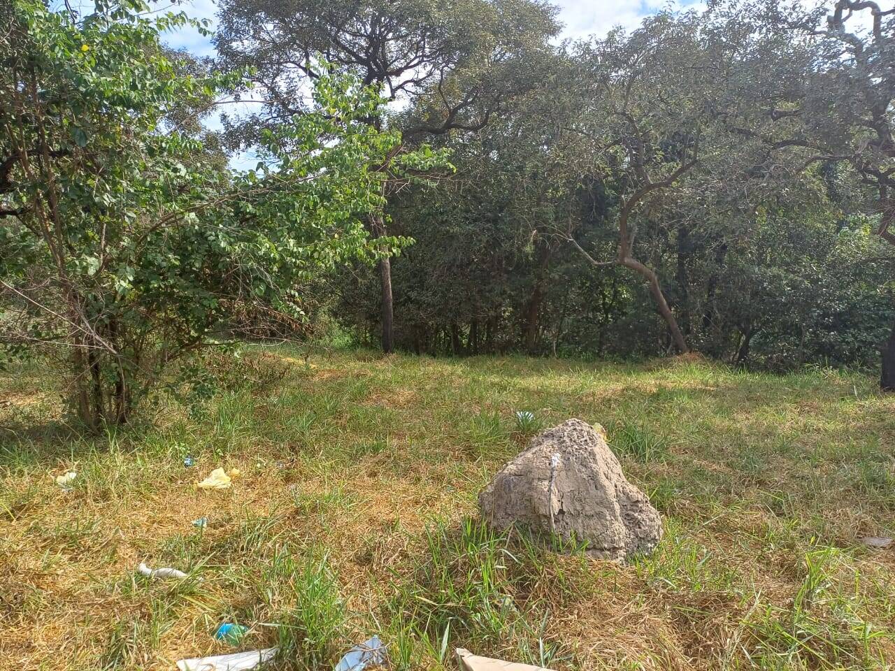 Chácara à venda no Santa Mônica: 