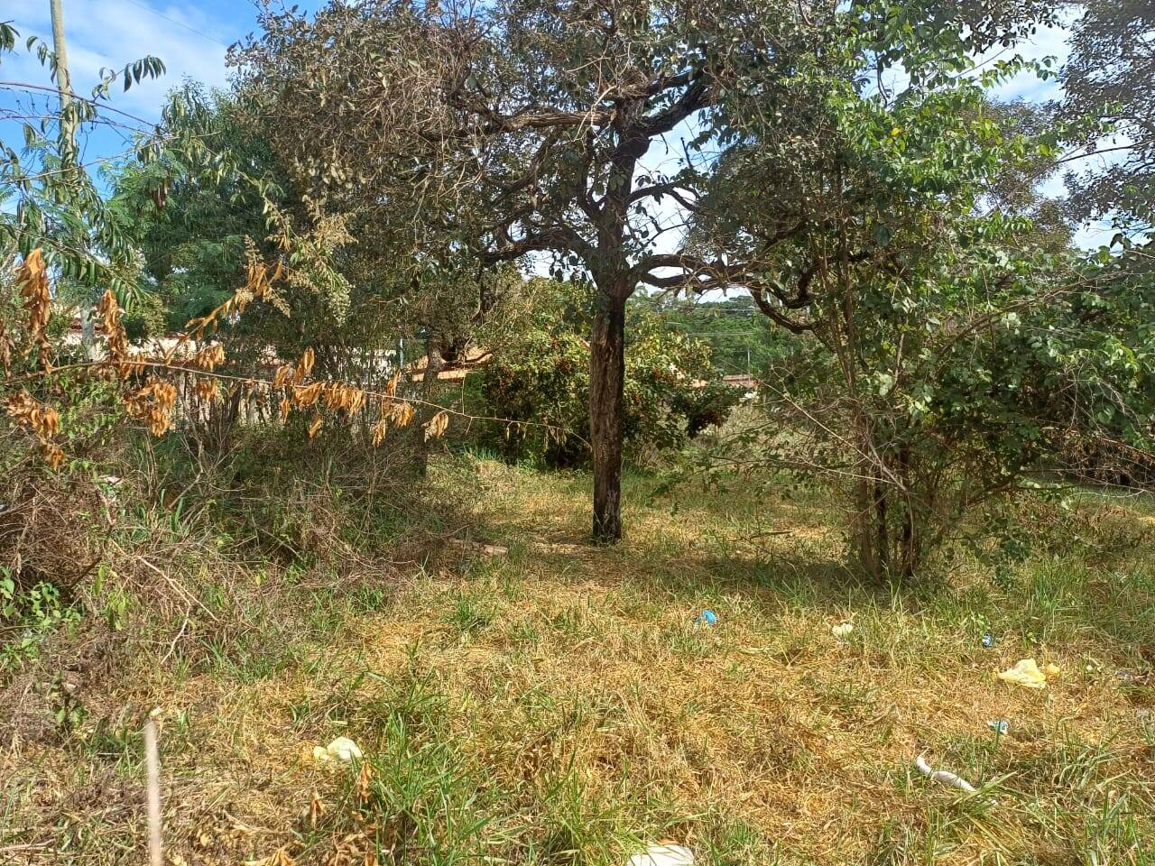 Chácara à venda no Santa Mônica: 