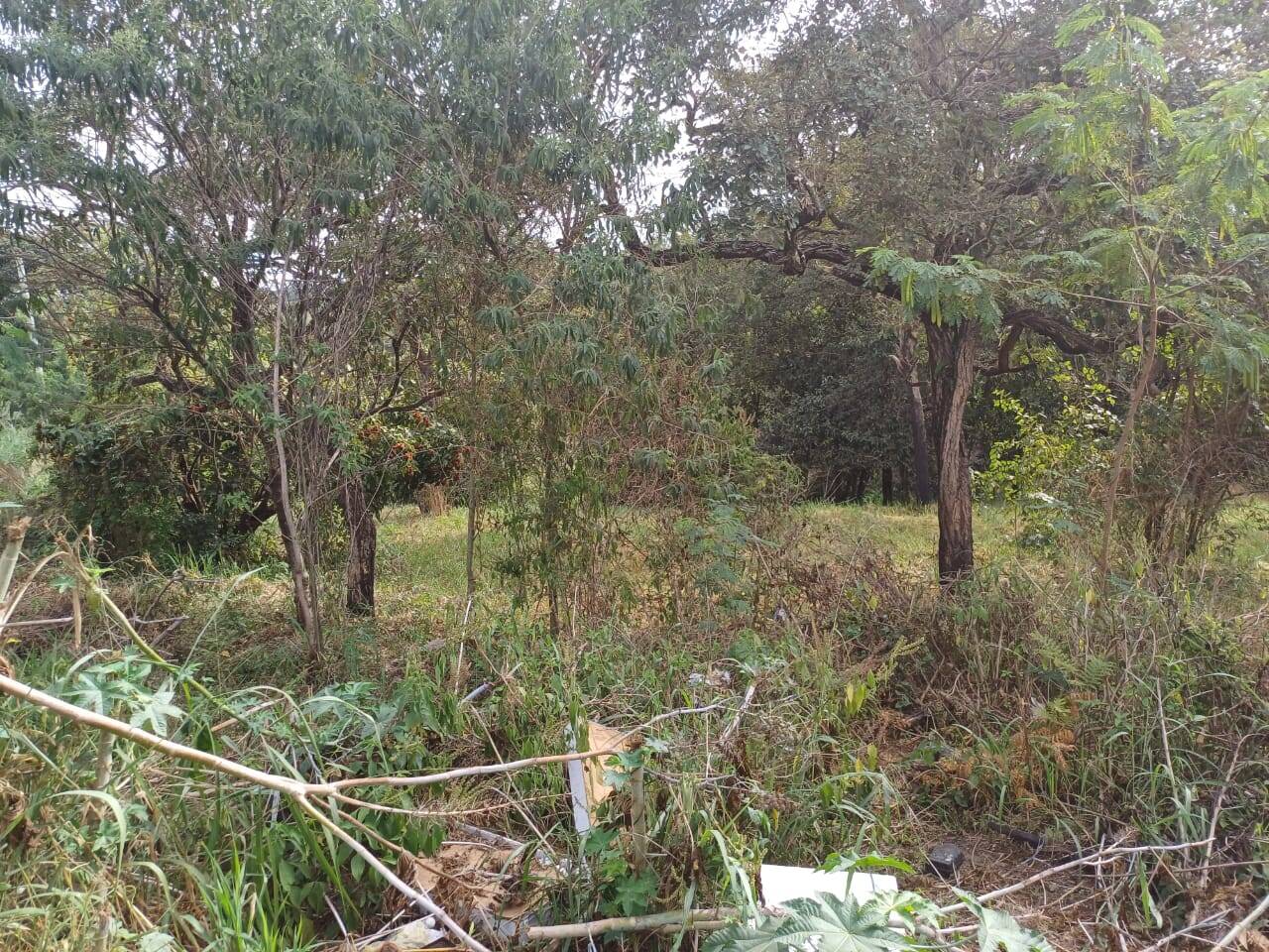 Chácara à venda no Santa Mônica: 