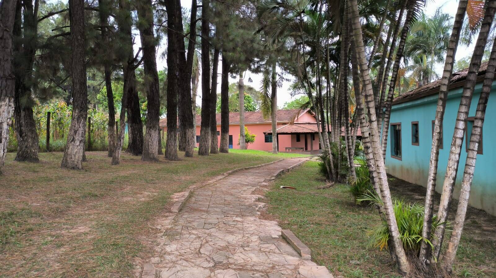 Sítio à venda no Centro: 