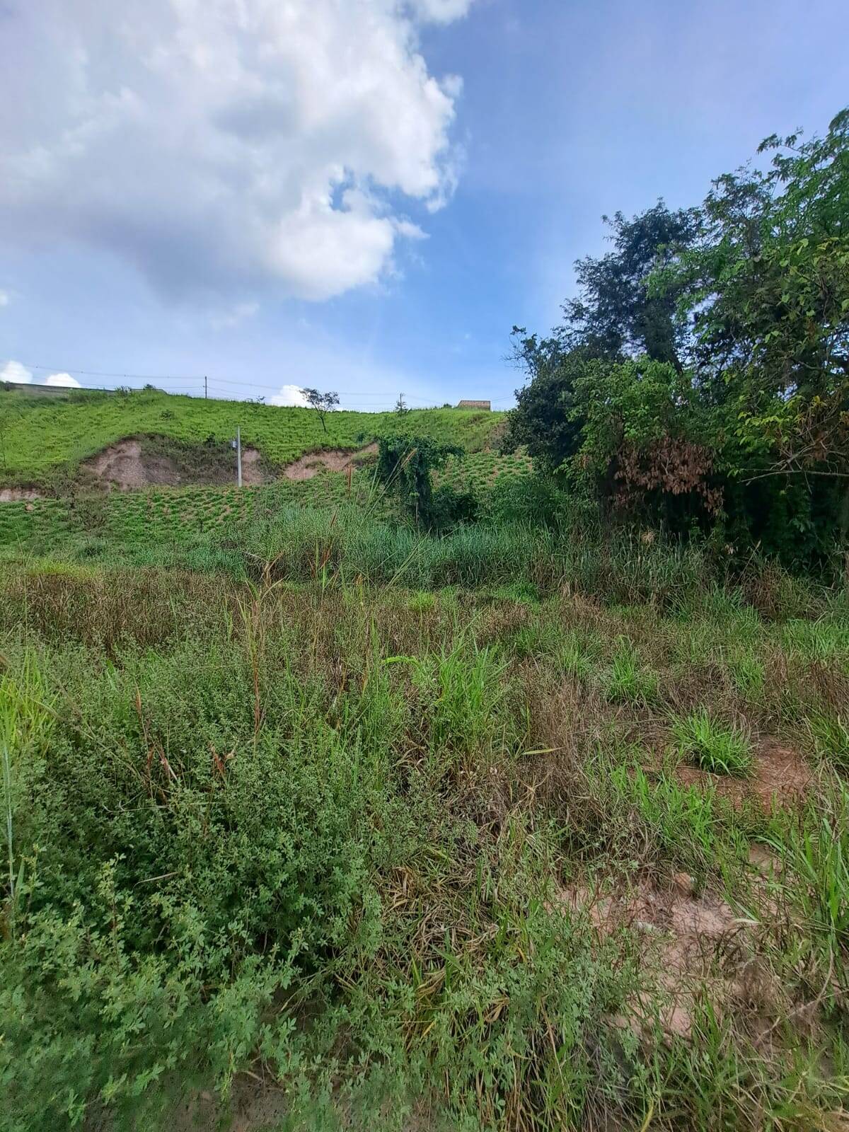 Lote à venda no Jardim Das Oliveiras: 