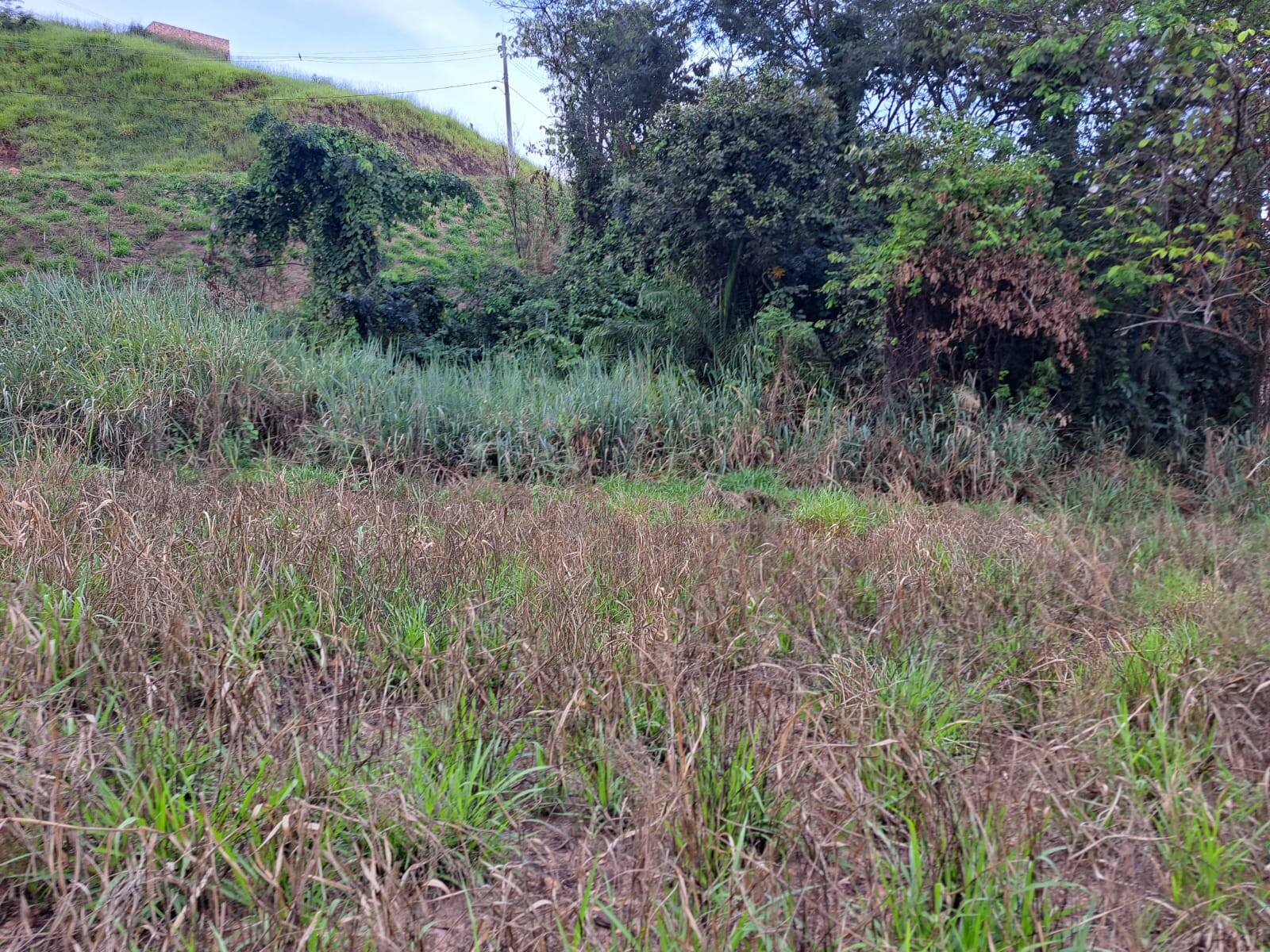 Lote à venda no Jardim Das Oliveiras: 