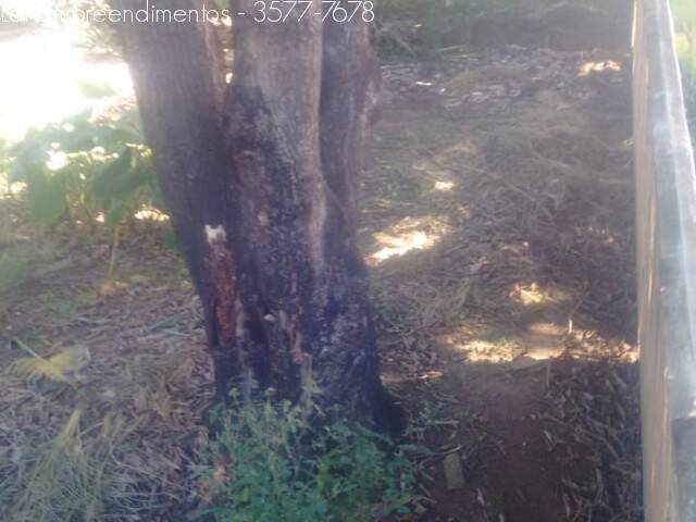 Chácara à venda no Centro: 