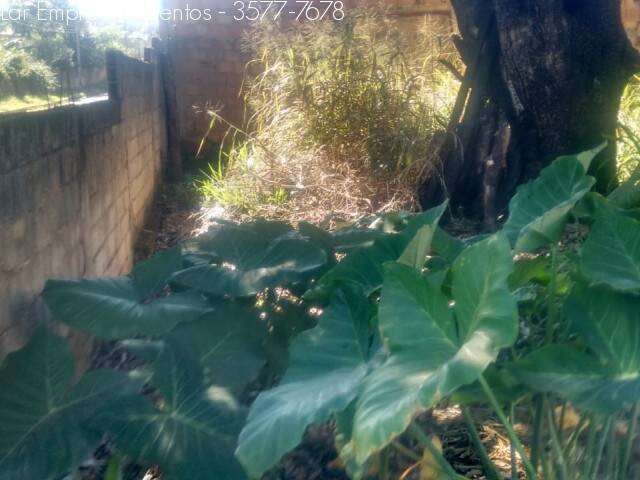 Chácara à venda no Centro: 