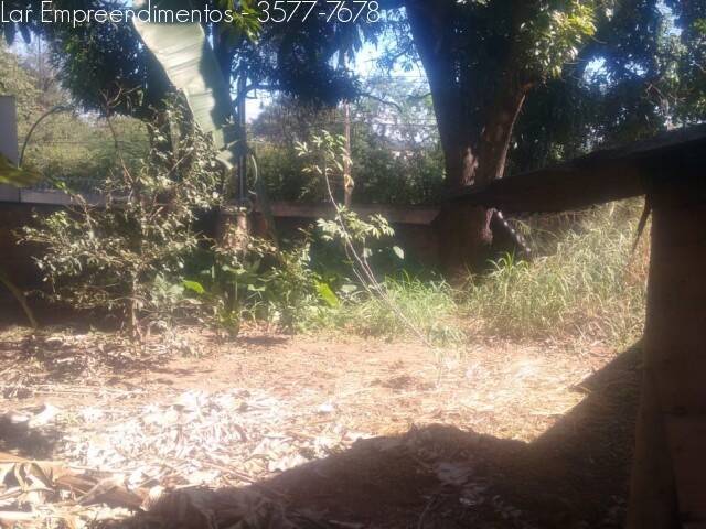 Chácara à venda no Centro: 