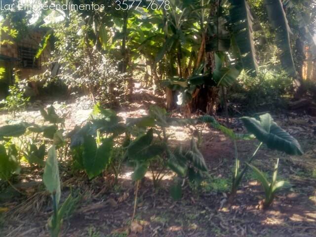 Chácara à venda no Centro: 