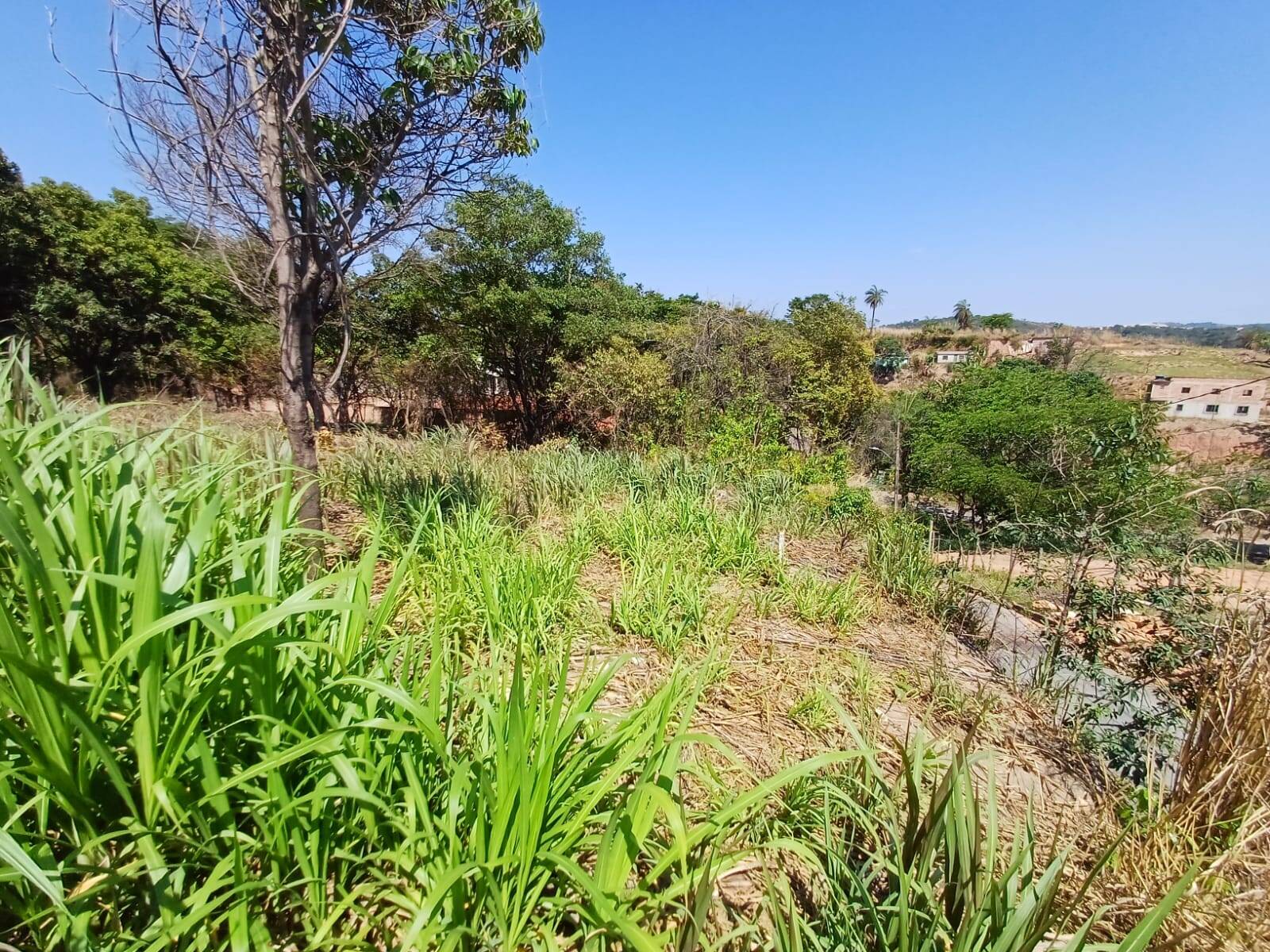Lote à venda no Jardim Anchieta: 
